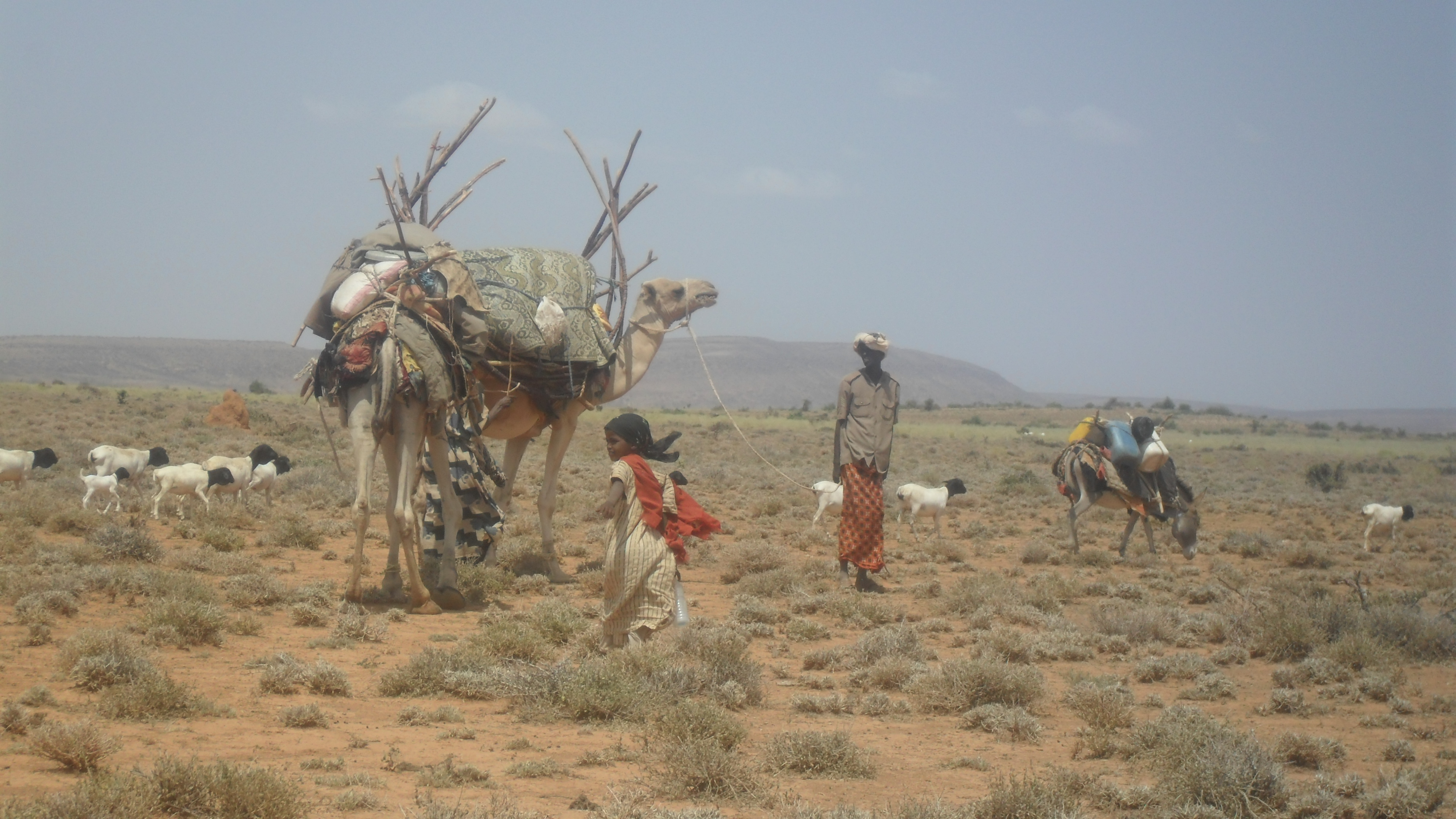 Drought Archives Humanitarian Aid And Relief 