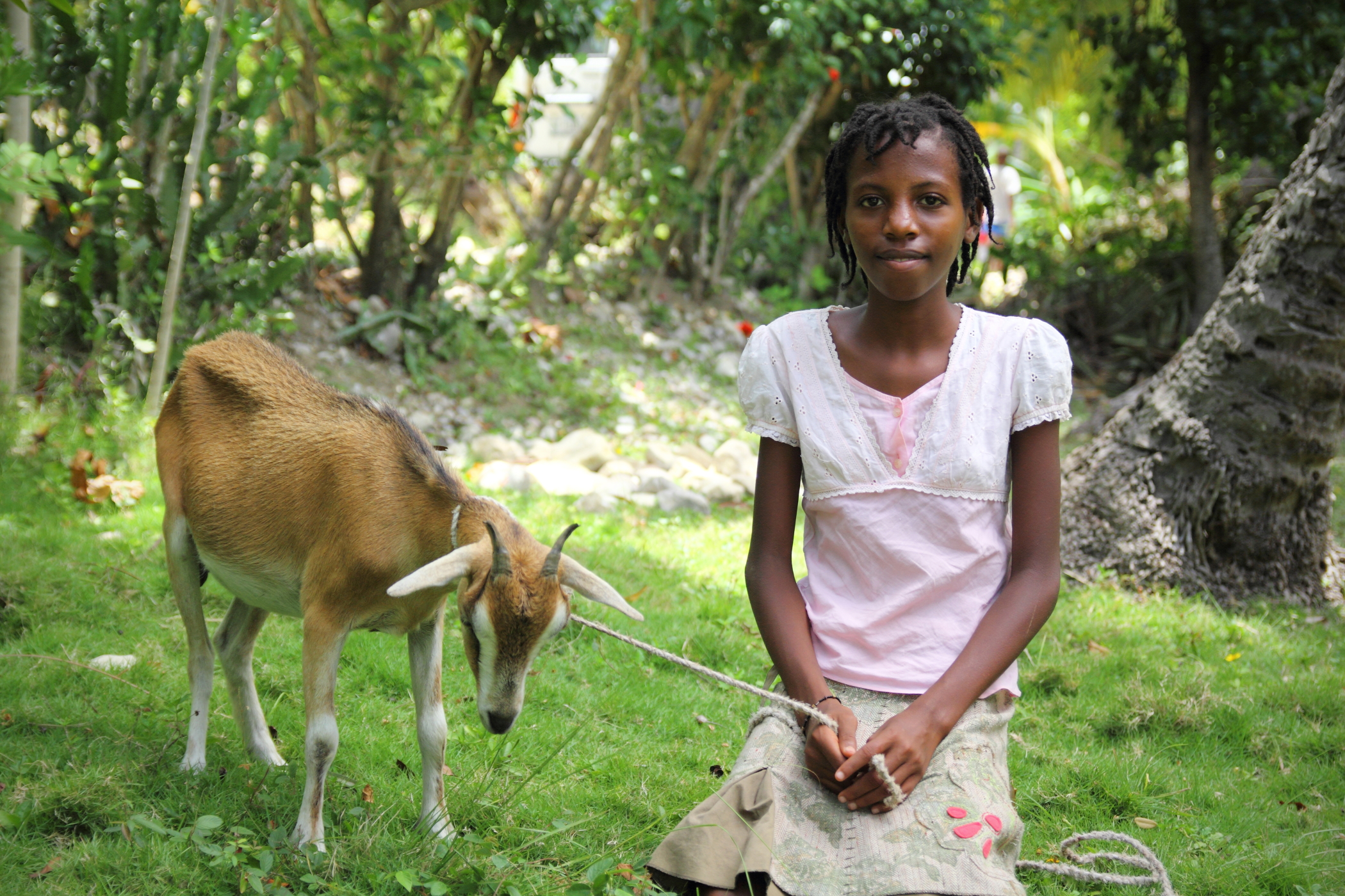 Goats And Girls Education A Baton For Life Humanitarian Aid And Relief